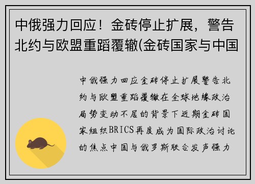 中俄强力回应！金砖停止扩展，警告北约与欧盟重蹈覆辙(金砖国家与中国接壤)