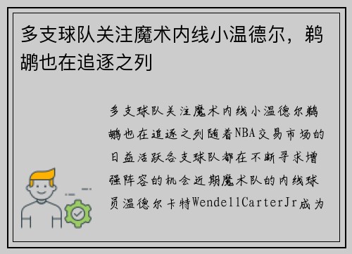 多支球队关注魔术内线小温德尔，鹈鹕也在追逐之列