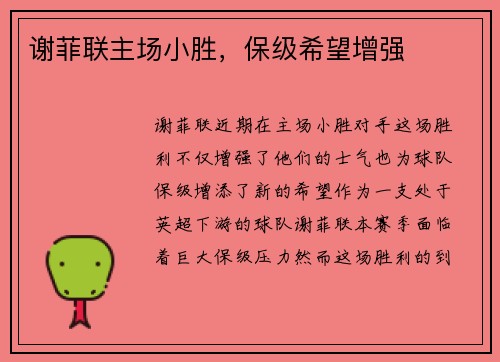谢菲联主场小胜，保级希望增强